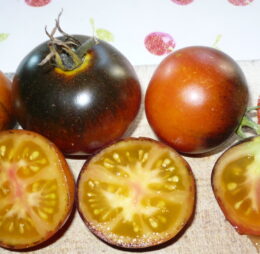 Tomate Orange Bleue