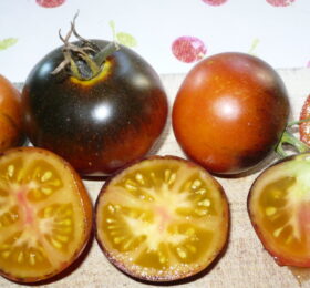 Tomate Orange Bleue