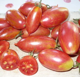 Tomate Pink Tiger