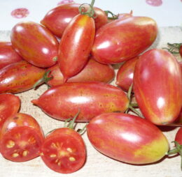 Tomate Pink Tiger