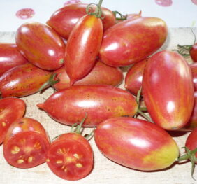 Tomate Pink Tiger