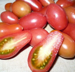 Tomate Chio Chio San