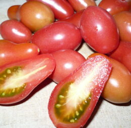 Tomate Chio Chio San