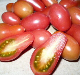 Tomate Chio Chio San