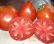 Tomate Sunset’s Red Horizon