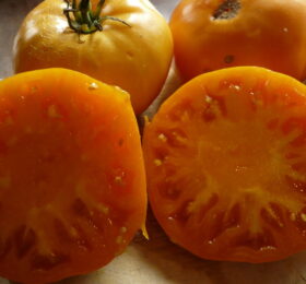 Tomate Kentucky Beefsteak