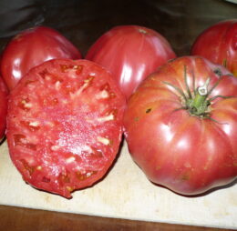 Tomate Rose d’Eauze