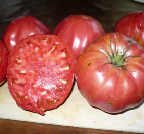 Tomate Rose d’Eauze