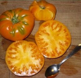 Tomate Brandywine Apricot