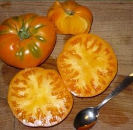 Tomate Brandywine Apricot