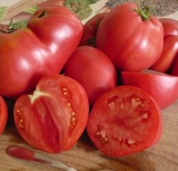 Tomate Pinck Oxheart « Cœur de Bœuf Rose »