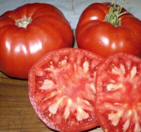 Tomate Grosse Italienne du Gers