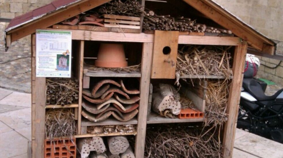 Construisez un hôtel à insectes.