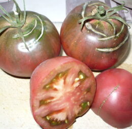 Tomate Turks Muts