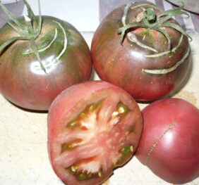 Tomate Turks Muts