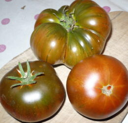 Tomate Arbuznyi