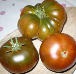 Tomate Arbuznyi