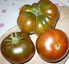 Tomate Arbuznyi