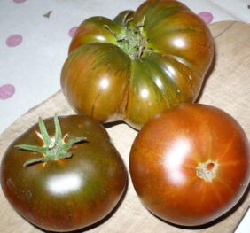 Tomate Arbuznyi