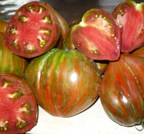 Tomate Berkeley Tie Dye Heart