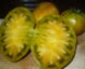 Tomate Zébra Zotta Kozula 179