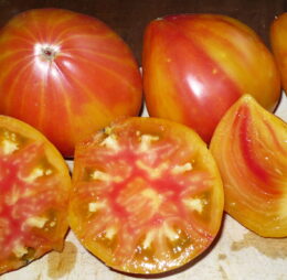 Tomate Hawaiian Pineappel