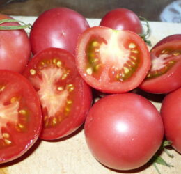 Tomate Mikado Violettor