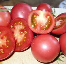 Tomate Mikado Violettor