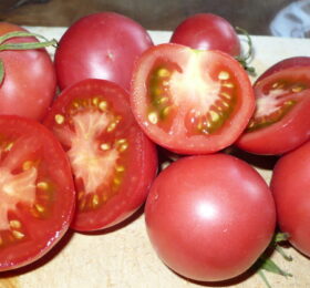 Tomate Mikado Violettor