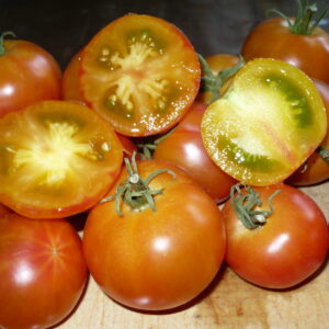 Tomate Joyaux d’Oaxaca