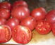Tomate Hoskins Barger
