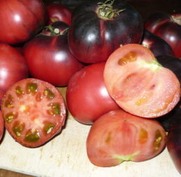 Tomate Mar Azul