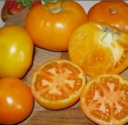 Tomate La Carotina :