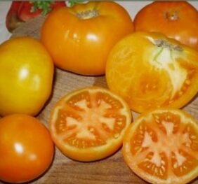 Tomate La Carotina :