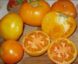 Tomate La Carotina :