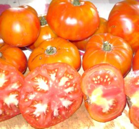 Tomate Anawine :