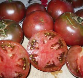 Tomate Black From Tula :