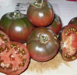 Tomate Charbonnière du Berry :