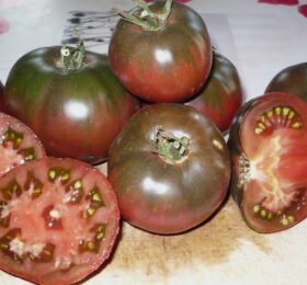 Tomate Charbonnière du Berry :