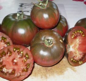 Tomate Charbonnière du Berry :