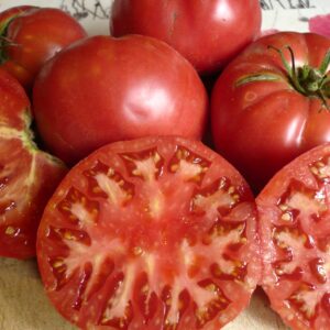 Tomate Corazon de Toro Hornachos :