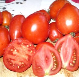 Tomate Dwarf Red Heart :