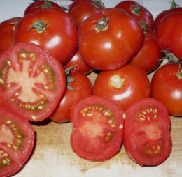 Tomate Pomme Rouge de Montpellier: