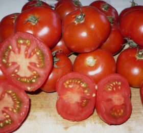 Tomate Pomme Rouge de Montpellier: