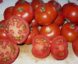 Tomate Pomme Rouge de Montpellier: