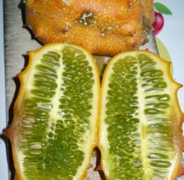 Concombre Kiwani ou Kiwano