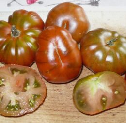 Tomate Ambrosia Giant :