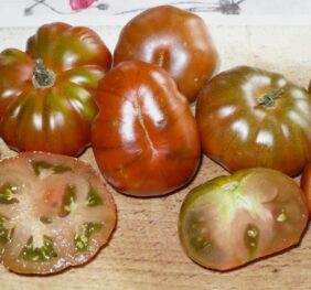 Tomate Ambrosia Giant :