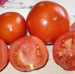 Tomate Belle Fille des Maraichers :