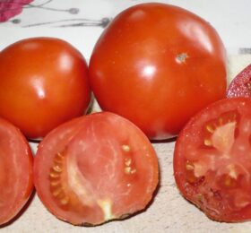 Tomate Belle Fille des Maraichers :